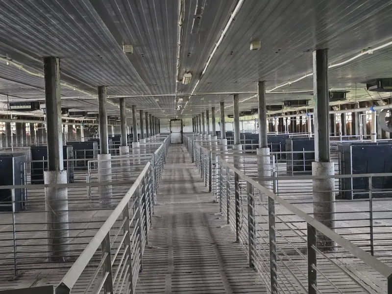 Sector 1, Vand teren cu hala si moara centura 25000 mp, platforma,4000 mp,