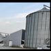 Sector 1, vand teren cu hala si moara centura 25000 mp, platforma,4000 mp,